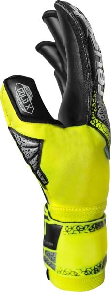 Reusch Attrakt Gold X Evolution