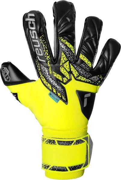 Reusch Attrakt Gold X Evolution