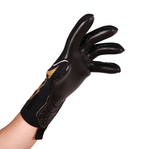 DRAGON GOLDEN CLAW DFT