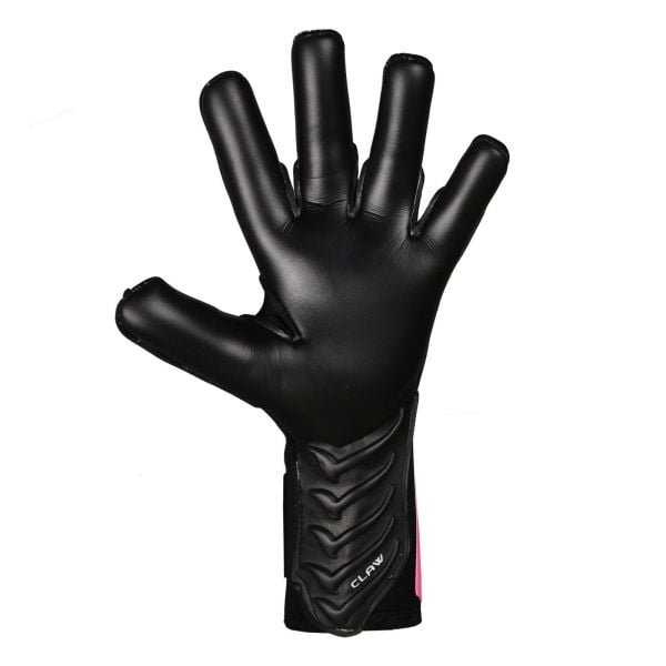 DRAGON SHOCKING CLAW