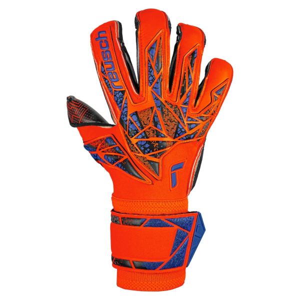 REUSCH Attrakt Gold X Evolution GluePrint