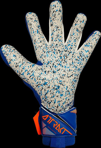 Reusch Attrakt Freegel Fusion Goaliator
