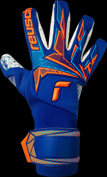 Reusch Attrakt Freegel Fusion Goaliator