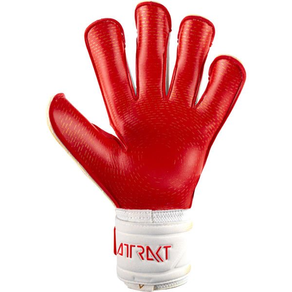 REUSCH ATTRAKT GOLD X GLUEPRINT