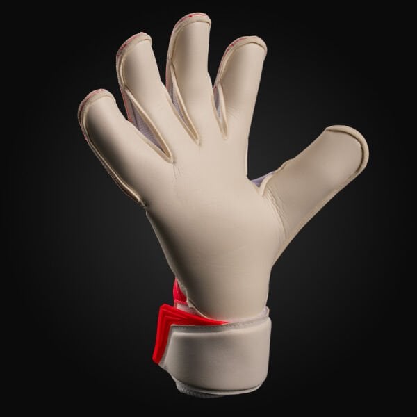 NXT PRO DOUBTERS HYLA