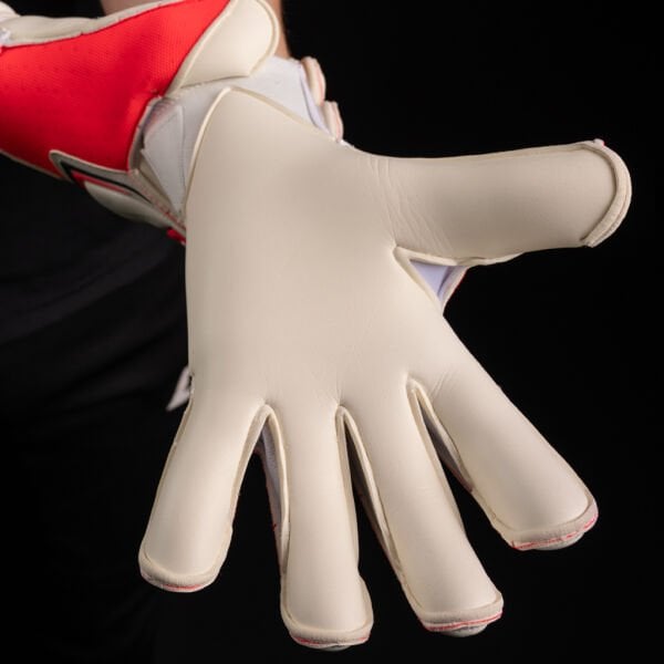 NXT PRO DOUBTERS HYLA