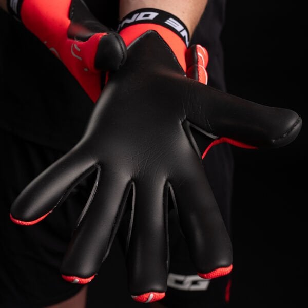 OG 1 DOUBTERS HYLA SL