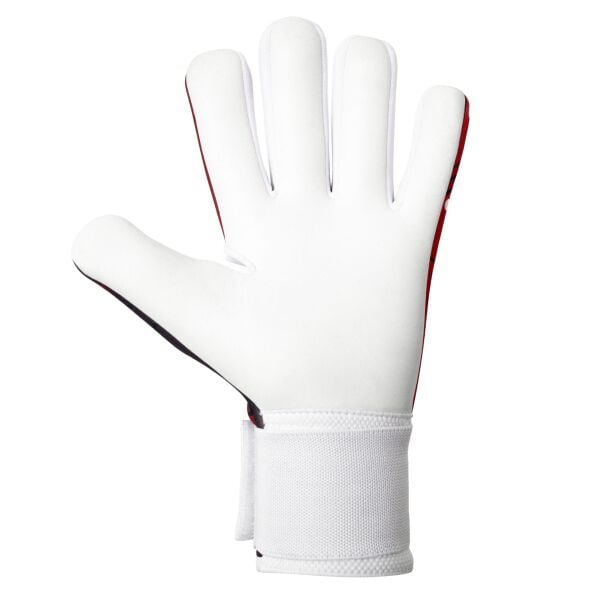 ELITE SPORT KR