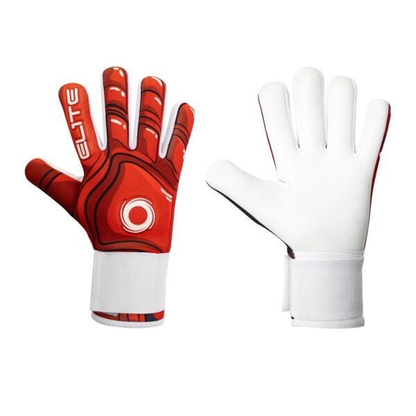 ELITE SPORT KR
