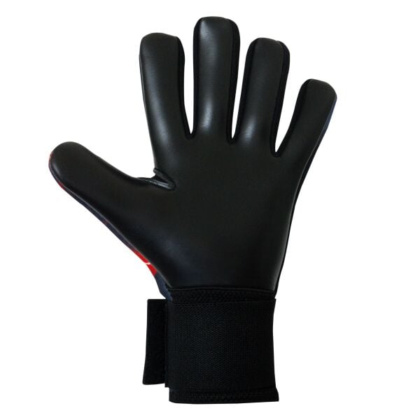 ELITE SPORT LASER