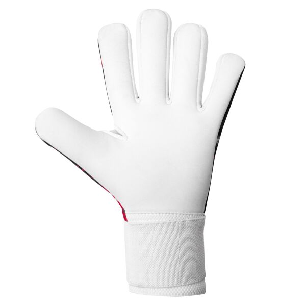 ELITE SPORT STORM