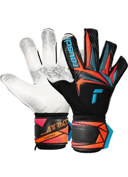 Reuch Attrakt Advance Evolution Glueprint