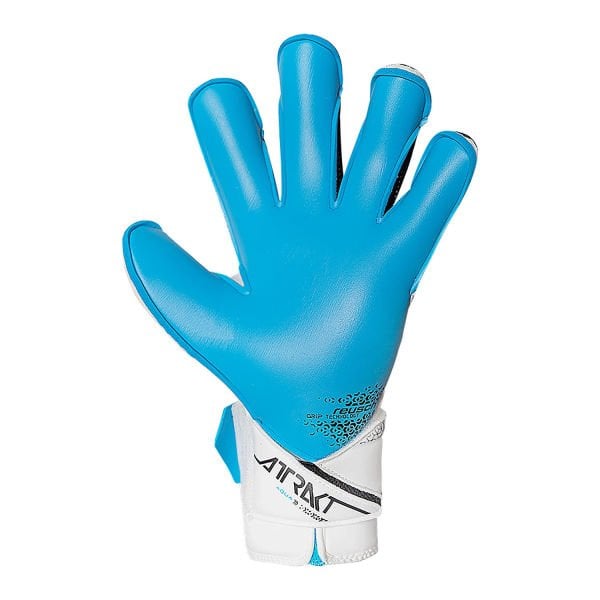 Reusch Attrakt Aqua Evolution