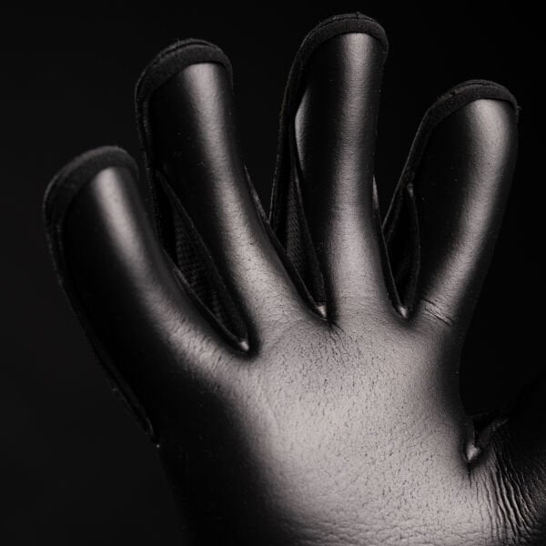 NXT Pro Void HYL CUT